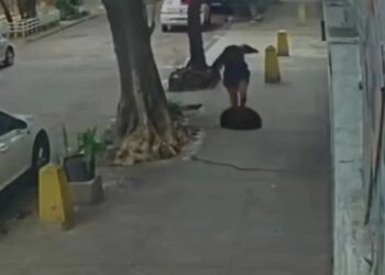 Terrifying moment woman falls down a manhole after cover gives way beneath her