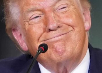 Trump’s flailing Reflecting Pool narrative astounds analysts: ‘Going to get more stupid’