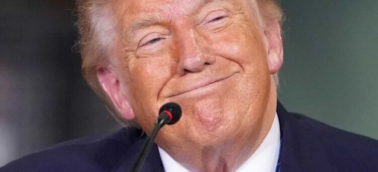 Trump’s flailing Reflecting Pool narrative astounds analysts: ‘Going to get more stupid’