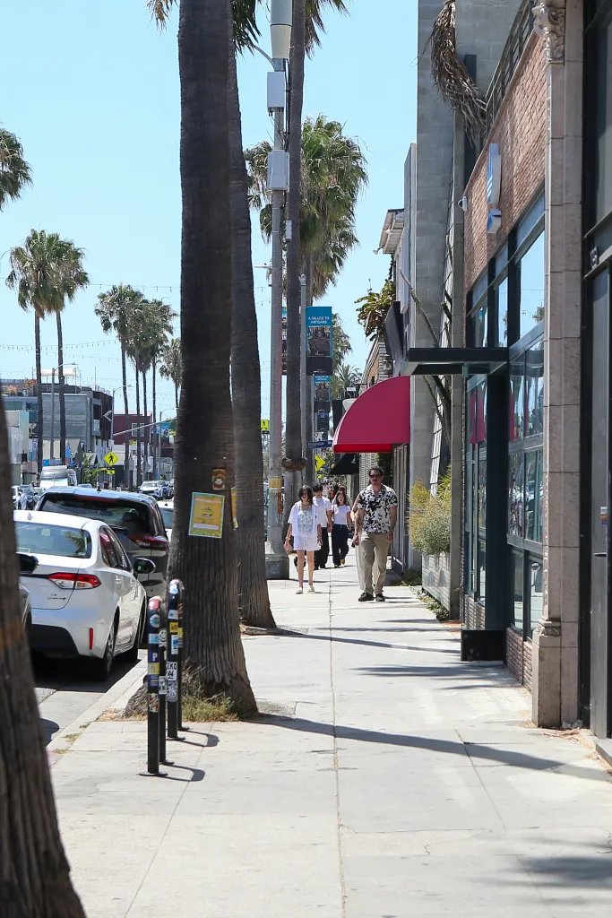 People shopping and walking along Abbot Kinney in Los Angeles.