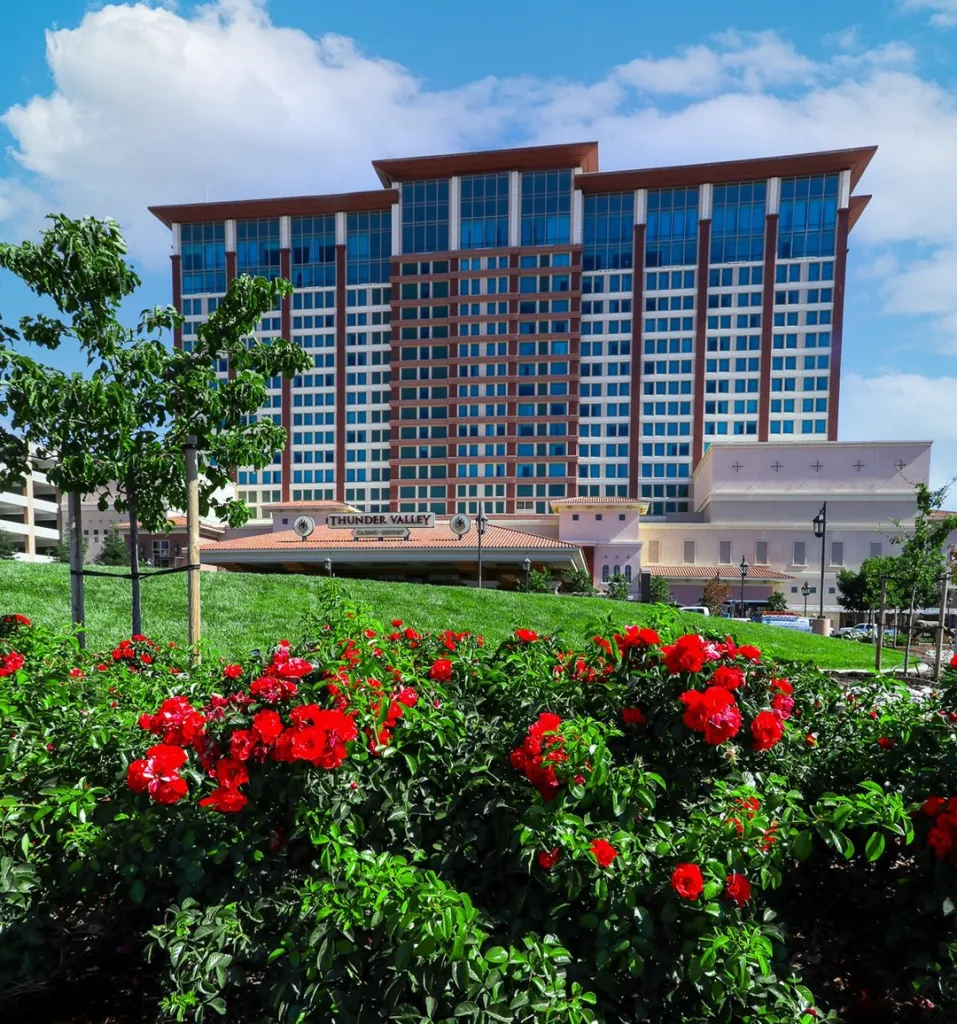Thunder Valley Casino Resort building and entrance behind a hedge of red roses.