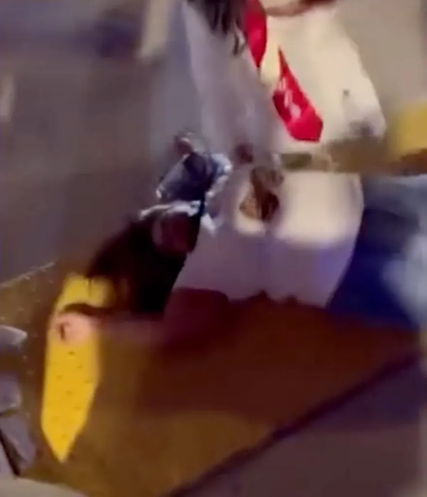 A Kerman Police officer pushing a woman to the ground during a fight.