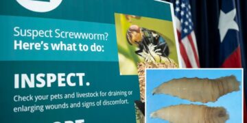FDA approves emergency use of drug to treat deadly, flesh-eating parasite attacking dogs and cats