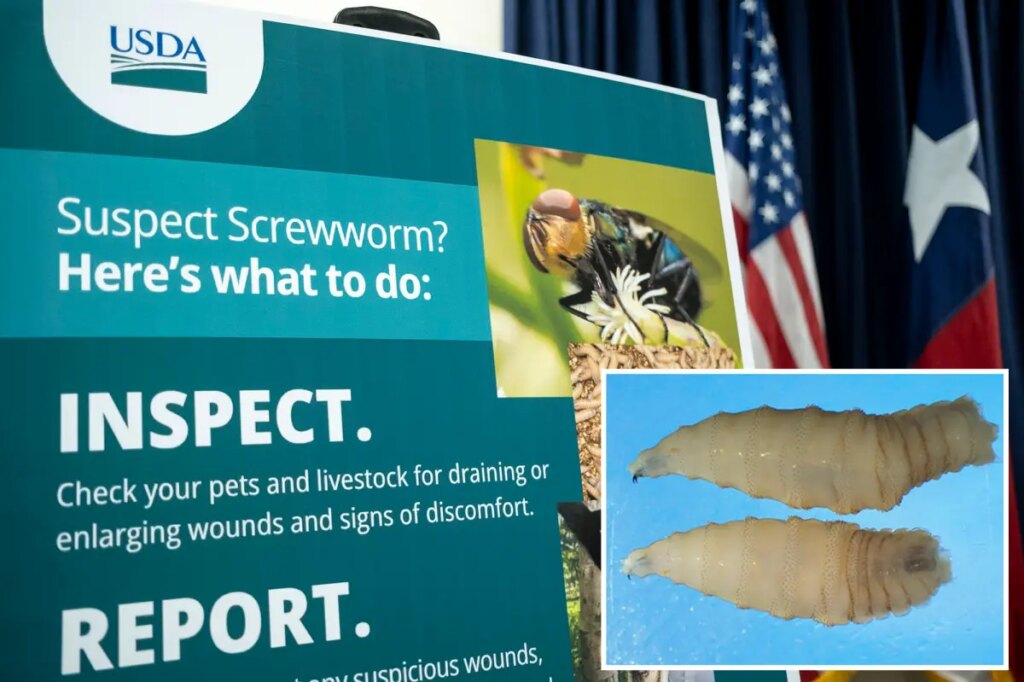 FDA approves emergency use of drug to treat deadly, flesh-eating parasite attacking dogs and cats