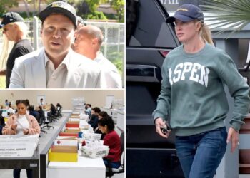 Spencer Pratt sums up LA’s glacial vote count in a single image
