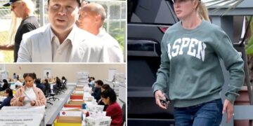 Spencer Pratt sums up LA’s glacial vote count in a single image