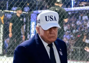MAGA comedian rebukes Michelle Obama ‘vile slur’ as Trump praises it
