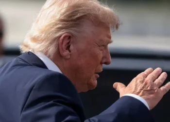 Trump appointee’s secret war that has ‘flown under the radar’ exposed by analyst