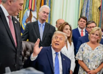 Trump’s staggering press conference leaves analysts aghast: ‘Dems just won the midterms’