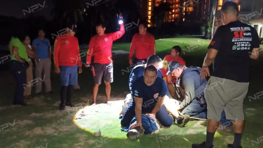 Group of people gathered around a large crocodile on the ground at night.