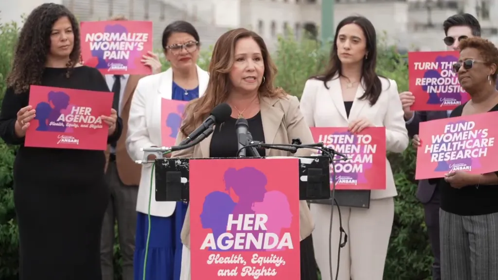 Democratic lawmakers are pushing for paid leave for reproductive health needs, calling lack of it “economic violence.”