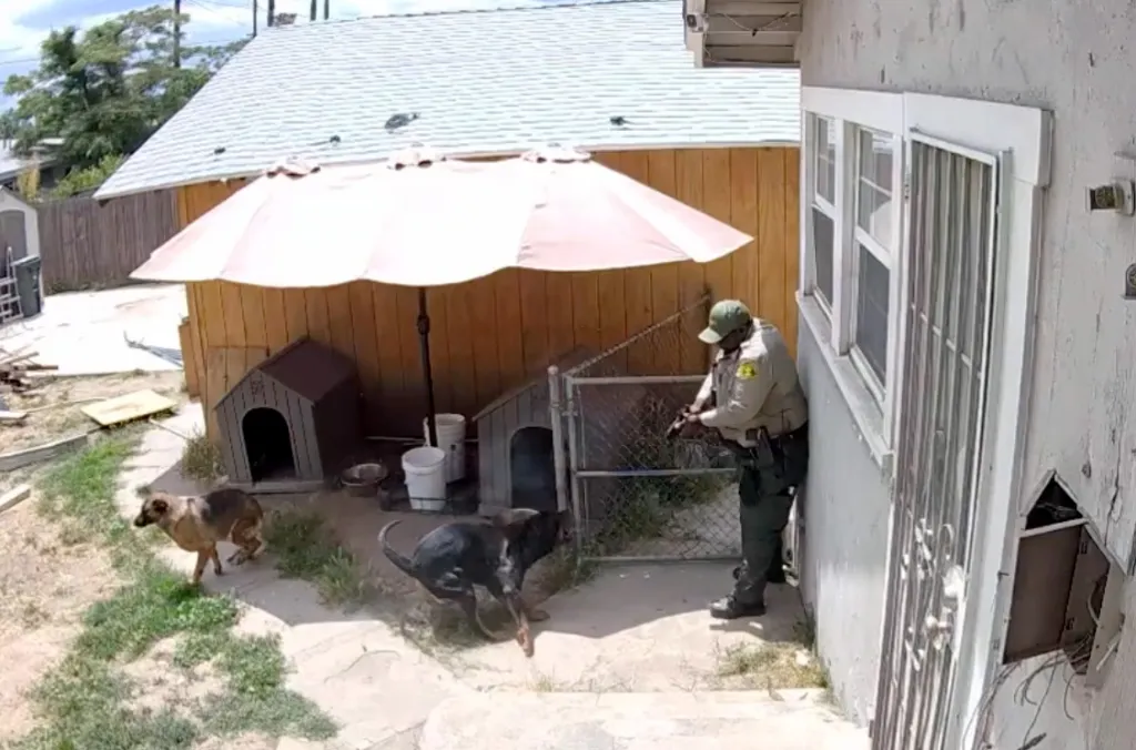 San Bernardino County Sheriff's Department deputy fatally shooting a family's Rottweiler.