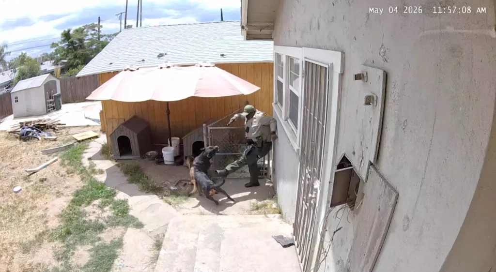 A San Bernardino County Sheriff's Department deputy kicking a dog in a fenced backyard.