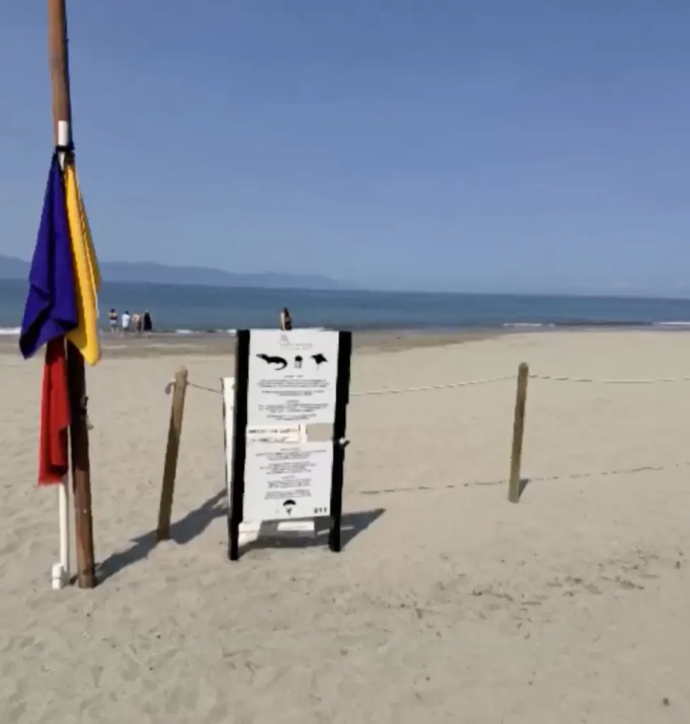 Sign on a sandy beach indicating crocodile presence near the water.