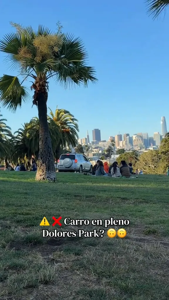 A white SUV parked on the grass in Dolores Park, with palm trees and the San Francisco skyline in the background.