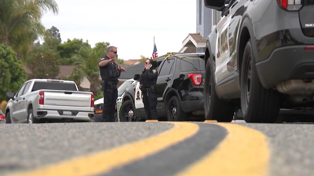 Police officers and vehicles on a residential street.
