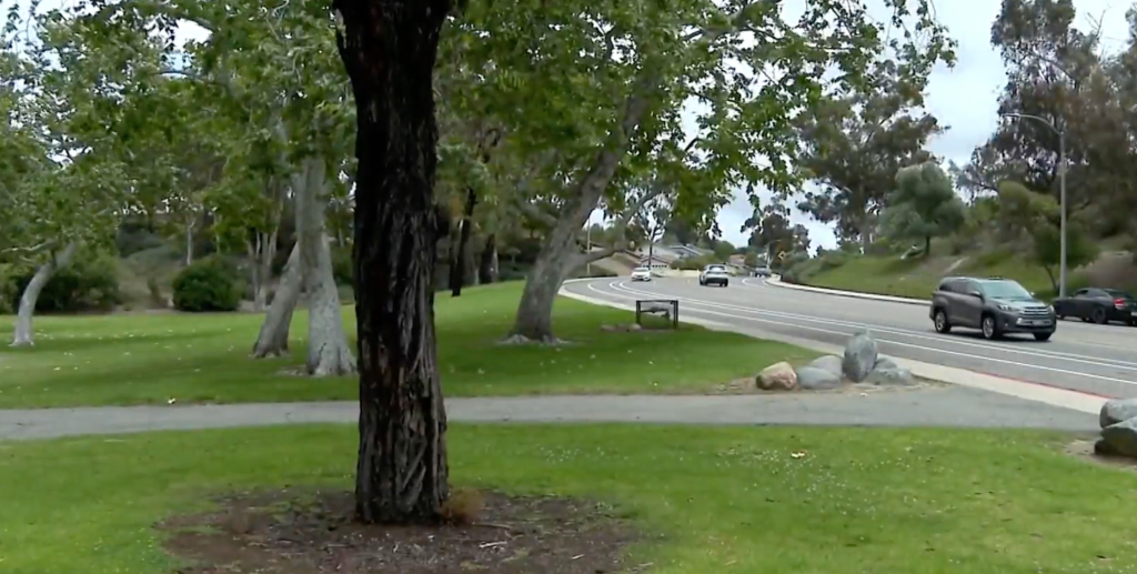 The park where Army veteran Brenda Gillett was found after being killed.