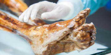 Why Scientists Used a 5,000-Year-Old Mummy to Bake Freaky Sourdough Bread