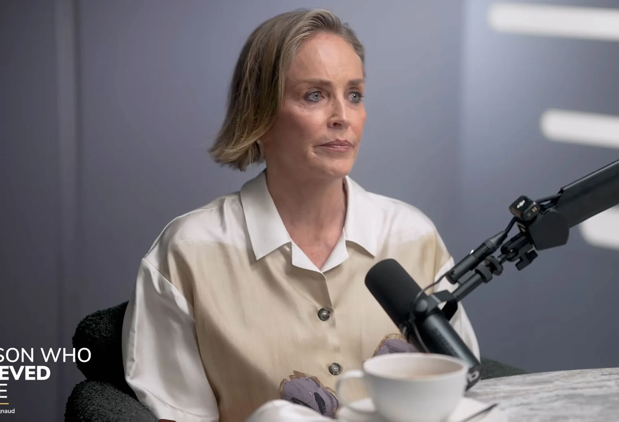 Sharon Stone speaking into a microphone.