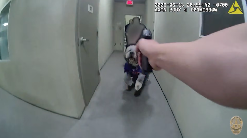 A bodycam perspective shows a person's outstretched arm aiming a handgun at a charging fluffy dog in a narrow hallway.