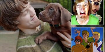 Netflix’s upcoming Scooby Doo reboot skewered by critics: ‘Take it back!’