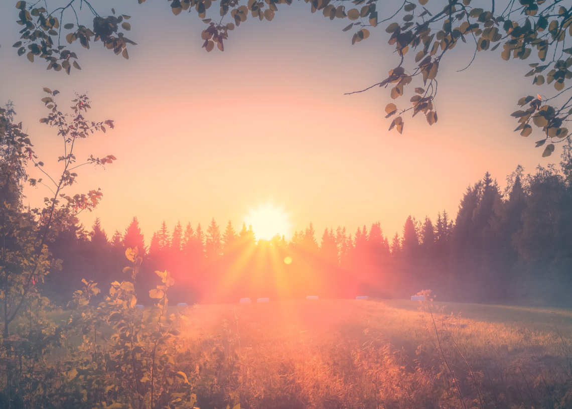 The Summer Solstice Is Approaching. These 5 Zodiac Signs Will Feel Its Pull Strongest.