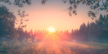 The Summer Solstice Is Approaching. These 5 Zodiac Signs Will Feel Its Pull Strongest.