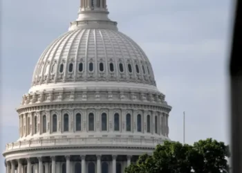 Convicted pedophile and Trump insiders handed Congress access in credentialing mess