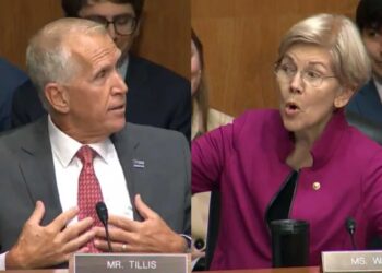 Elizabeth Warren insults GOP senator by clucking like chicken at tense hearing