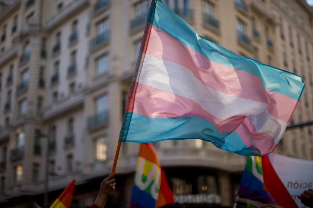 A person holding a transgender flag during a demonstration in Madrid.