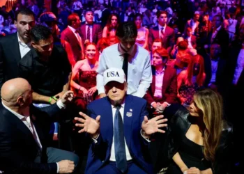 ​Trump’s ‘orgy of decline’ sets off conservative stalwart after White House UFC fight