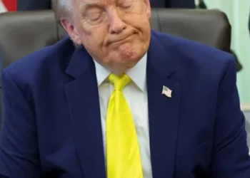 Ex-MAGA insider blows lid off White House aide behind right-wing influencer campaigns
