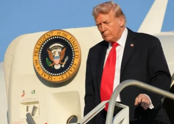 Trump triggers a crippling nosedive with desperate rebrand