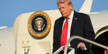 Trump triggers a crippling nosedive with desperate rebrand