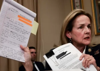 ‘I beg your pardon!’ Onlookers horrified as GOP congressman shuts down Epstein questions