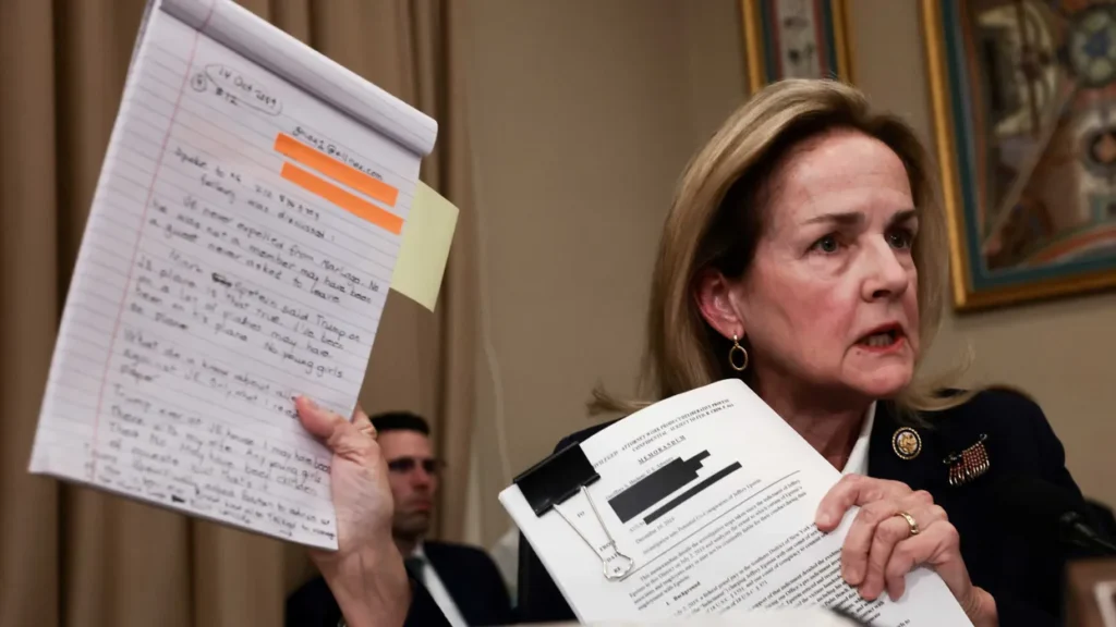 ‘I beg your pardon!’ Onlookers horrified as GOP congressman shuts down Epstein questions