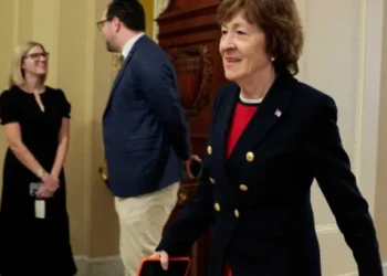 ​’Lying through her teeth’: GOP senator caught making false claim on gutting of key right