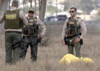 Skydiver dead after mid-air collision in California identified as Tahitian man