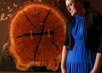 Woody Guthrie’s guitar, a Gettysburg photo: 5 must-sees at the Huntington’s new America 250 exhibit