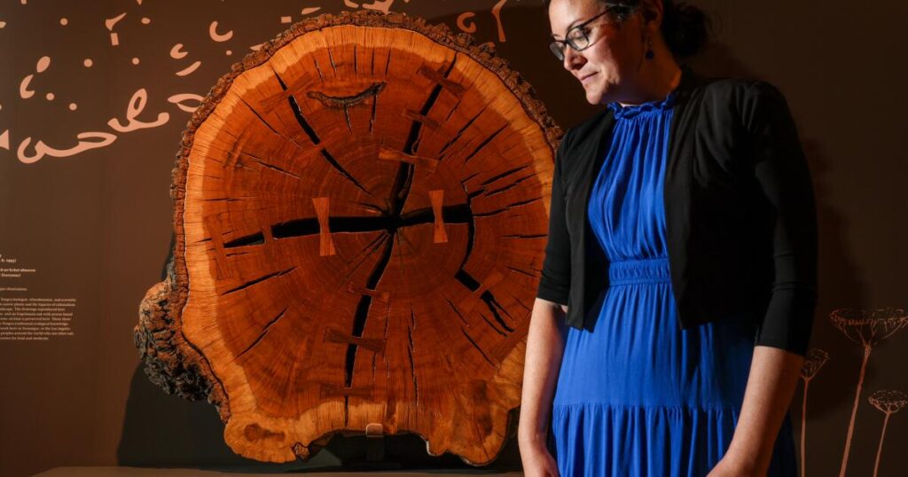 Woody Guthrie’s guitar, a Gettysburg photo: 5 must-sees at the Huntington’s new America 250 exhibit