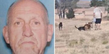Dog owner arrested after girl attacked, boy drowns in lake to escape his pets, police say