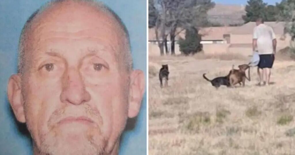 Dog owner arrested after girl attacked, boy drowns in lake to escape his pets, police say