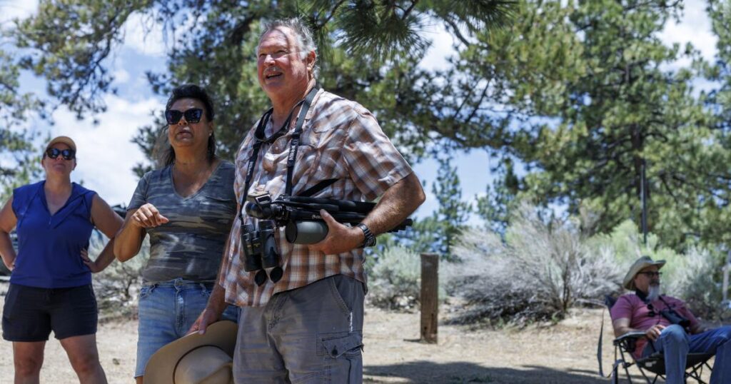 The woman who championed Big Bear’s celebrity eagles leaves behind a $10-million mission
