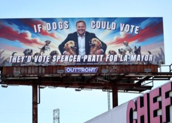 L.A.’s Year of the Dog: Why Pratt and other candidates campaigned against animal abuse