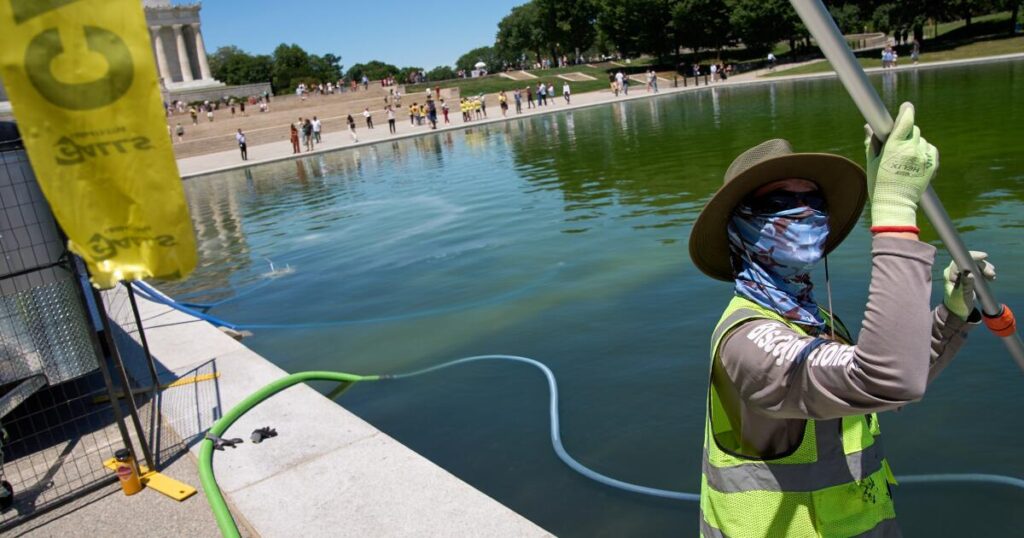 Trump administration uses hydrogen peroxide and tiny bubbles against algae in Reflecting Pool