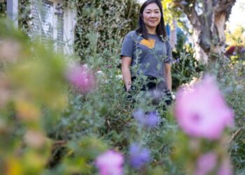 Her water bill was ‘insane.’ So she tore out her lawn and planted a ‘wabi-sabi’ wonderland