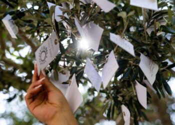 500 L.A. wishes a day: Behind the massive ‘harvest’ at Yoko Ono’s ‘Wish Trees’ at the Broad