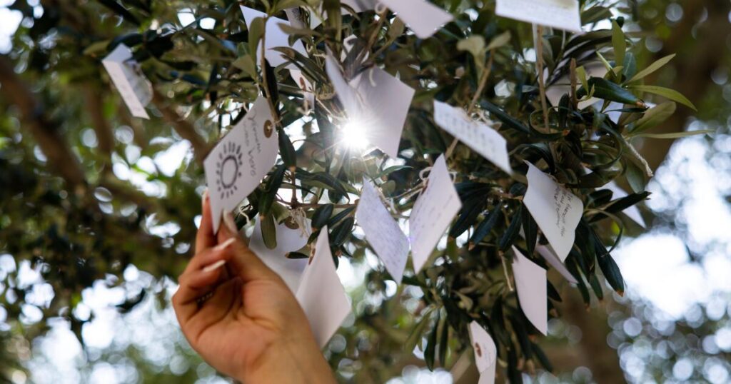 500 L.A. wishes a day: Behind the massive ‘harvest’ at Yoko Ono’s ‘Wish Trees’ at the Broad