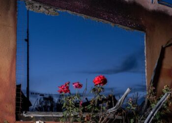 After the Eaton fire, ‘In the Gardens of Eaton’ finds unexpected beauty in loss
