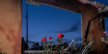 After the Eaton fire, ‘In the Gardens of Eaton’ finds unexpected beauty in loss
